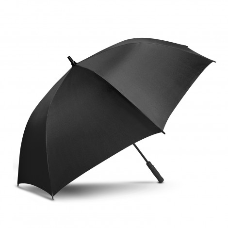Patronus Umbrella - Image 5