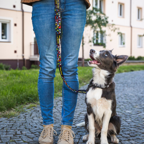 Amigo Dog Leash - Image 5